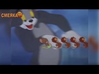 Приколы май 2016 №71